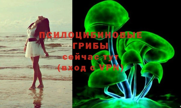 стафф Горно-Алтайск