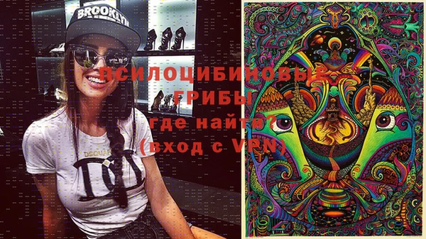 стафф Горно-Алтайск
