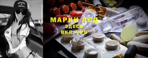 СК Горнозаводск