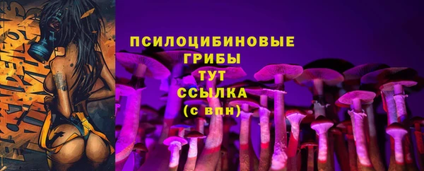 стафф Горно-Алтайск