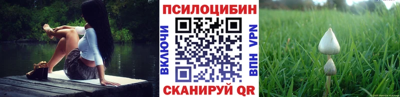 Псилоцибиновые грибы Psilocybine cubensis  Завитинск 