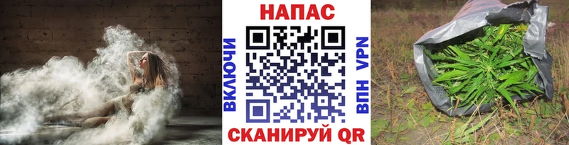 Канабис Amnesia  купить наркотики сайты  Завитинск 